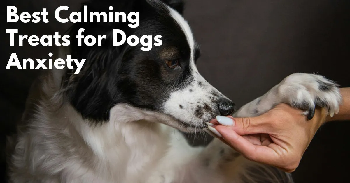 best calming treats for dogs anxiety